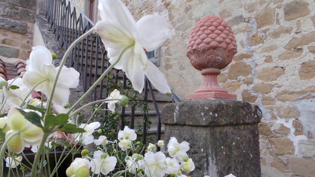 Casa Vacanze Villa Maria Anghiari Dış mekan fotoğraf