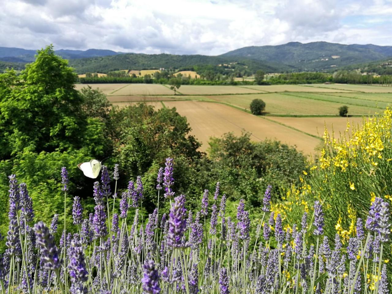 Casa Vacanze Villa Maria Anghiari Dış mekan fotoğraf