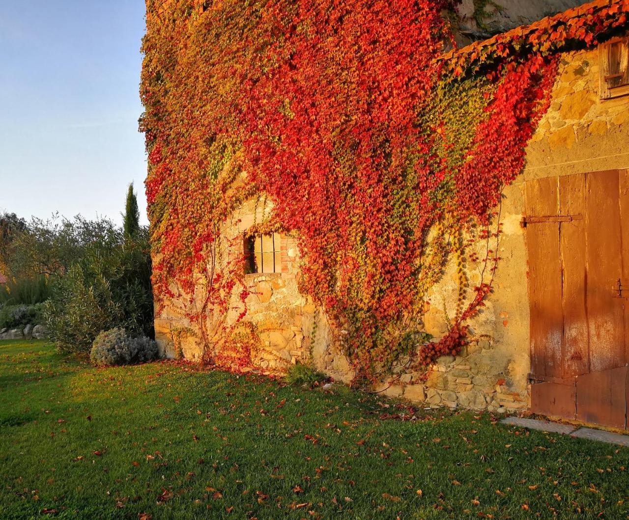 Casa Vacanze Villa Maria Anghiari Dış mekan fotoğraf